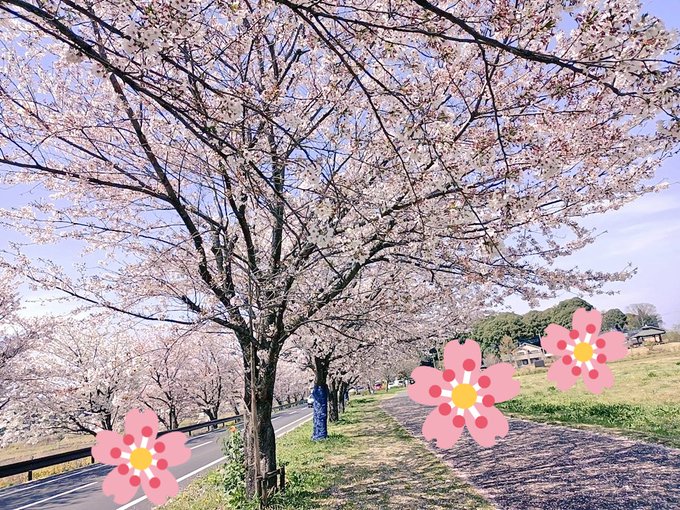 Twitterのコスプレ画像30