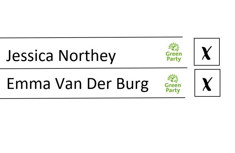 Vote Green in Blackbrook for positive action 💚