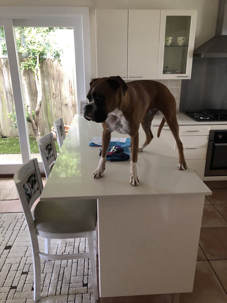 Martin Lang tweet media