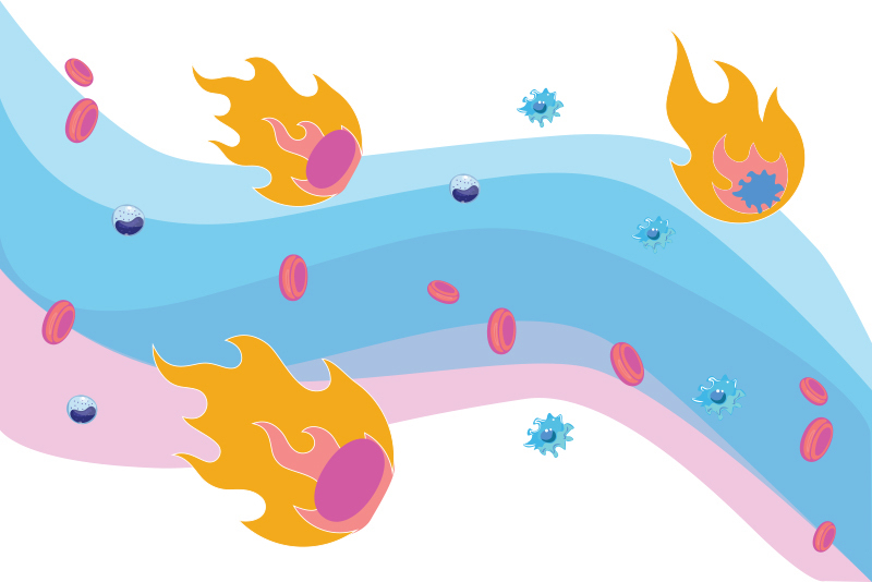 BostonChildrens's tweet photo. Why do some people with COVID-19 develop severe inflammation, leading to respiratory distress and damage to multiple organs? A new study provides an explanation — with some surprising twists. https://t.co/Wy47TGRUJZ https://t.co/o9zH4HyBGN