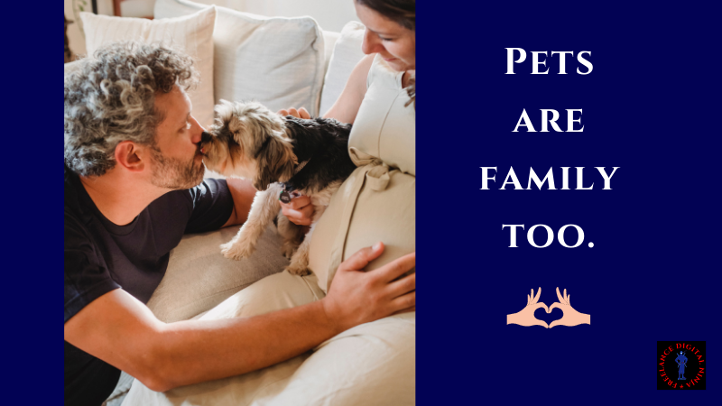 billninja8's tweet photo. Treat pets as family. 🙂

#freelancing #Thursday #pets #family #hobbies #WorkFromHome #virtualassistant #Amazon #shopify #socialmediamanager #freelancedigitalninja https://t.co/jk46GhIfRm
