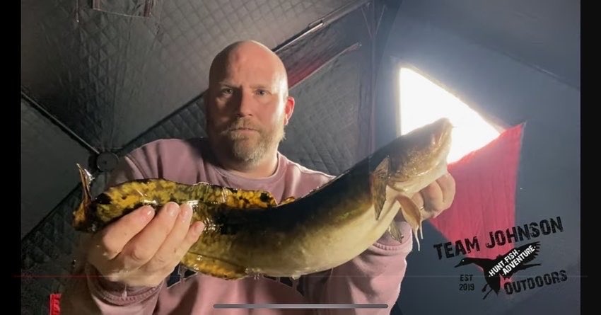 TeamJohnsonOD's tweet photo. NEW EPISODE!!!
Check out #Burbot #catchcleancook on our YouTube channel!! https://t.co/456ujPMri6