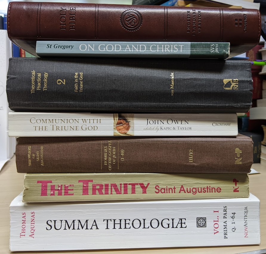 FredFredSanders's tweet photo. Stacking up the books &amp; revising the syllabus for my annual grad-level class on the Trinity next fall: Nazianzus, Augustine (De Trin + sermons on John), Aquinas, Owen, &amp; Mastricht, plus some pdfs not shown (Tertullian, Warfield, John of Damascus, etc). https://t.co/kN8L9kkLAW