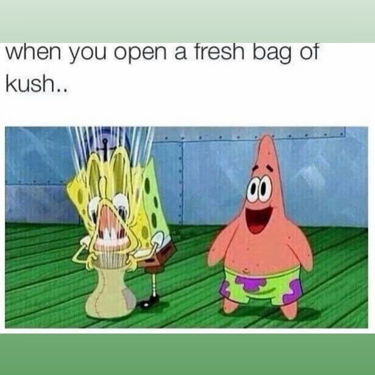 420's tweet photo. it's 4:20 somewhere https://t.co/ywhqgKMGAr
