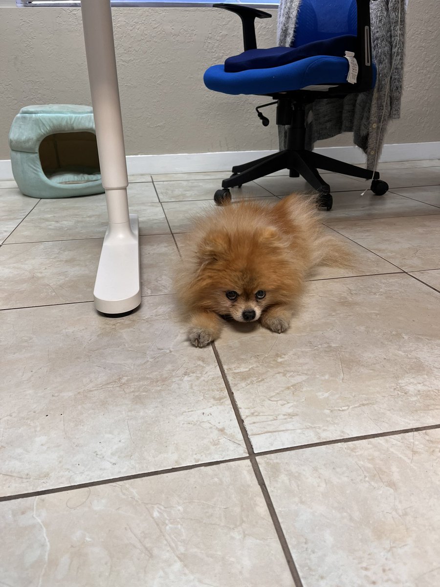 VPQJewelry's tweet photo. My work wife isn’t having it today. https://t.co/lbQb3jIl3y