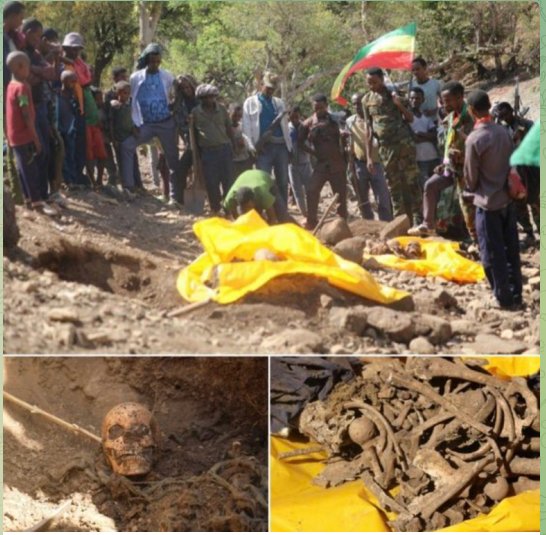 yonast98's tweet photo. #BreakTheSilence Mass graves discovered in North Western Ethiopia (Welkait-Tsegede &amp; Humera) this April. 

100s of uncovered bones reveal the extent of #TPLF’s campaign of terror targeting the region’s native Amhara for over 35 yrs of #TPLF occupation of the region" #NoMore https://t.co/RqcNkDsZ1d