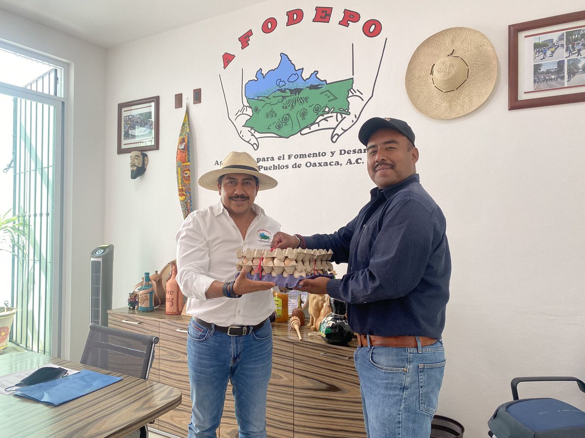 afodepoac's tweet photo. Cristian Vásquez García líder regional de #AFODEPO en la #Mixteca nos compartió un poquito de los beneficios del programa de apoyo a las familias para la producción de huevo y carne en transpatio, lo que contribuye a mejorar sus ingresos y a consumir alimentos orgánicos. https://t.co/FDGcFIoZ16