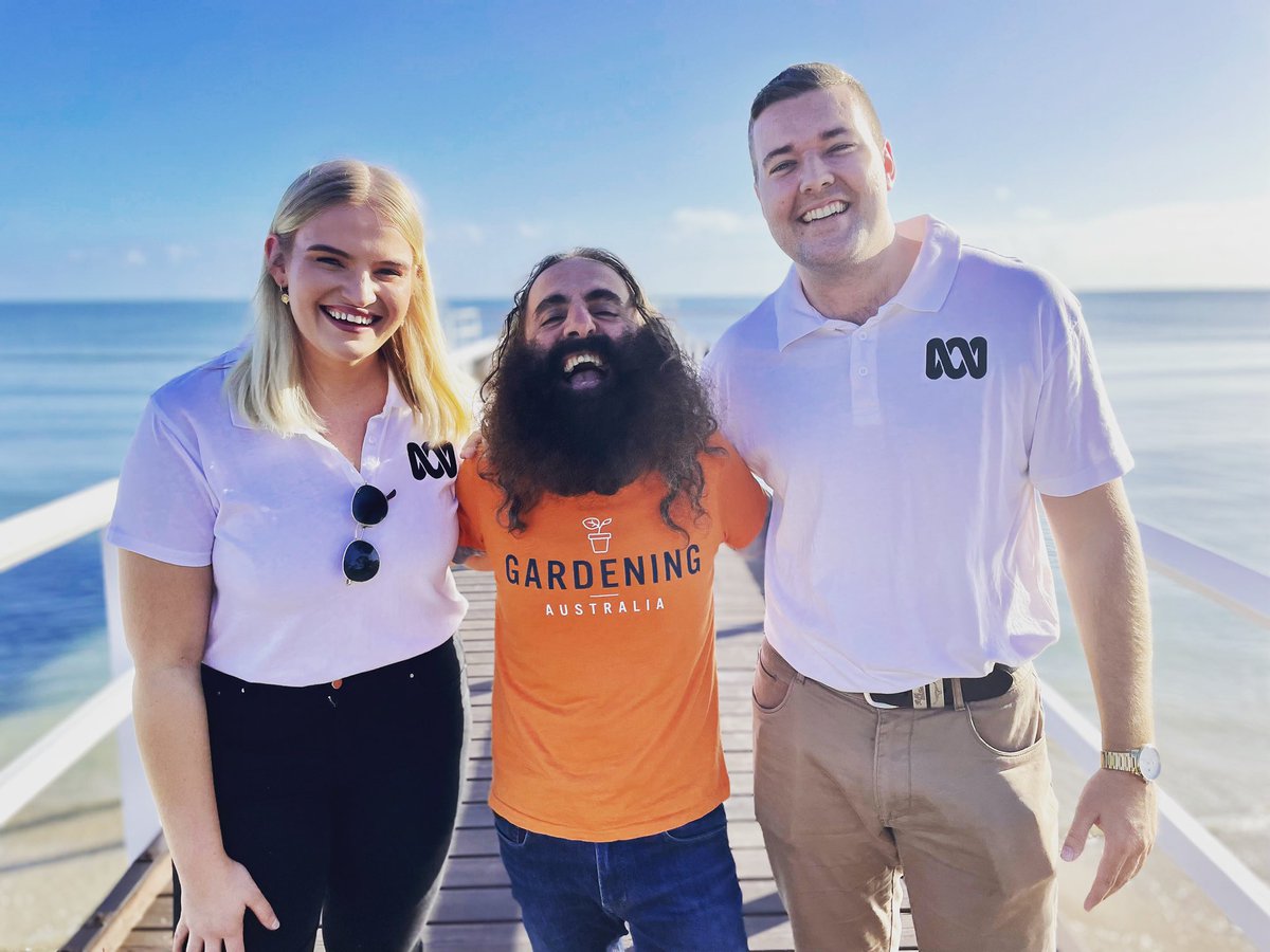 Judith Whelan tweet media