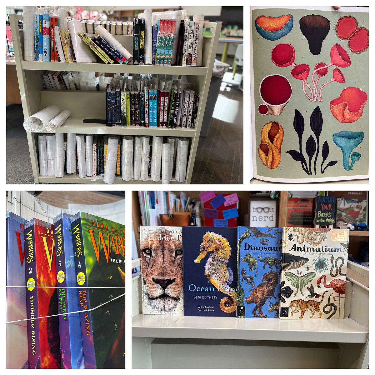 We took some book $$ to  a bookstore and look at our haul! We can’t wait to get these beauties on the shelf <a href="/LakeridgeMiddle/">Lakeridge Middle School</a> <a href="/bnbuzz/">Barnes & Noble</a>