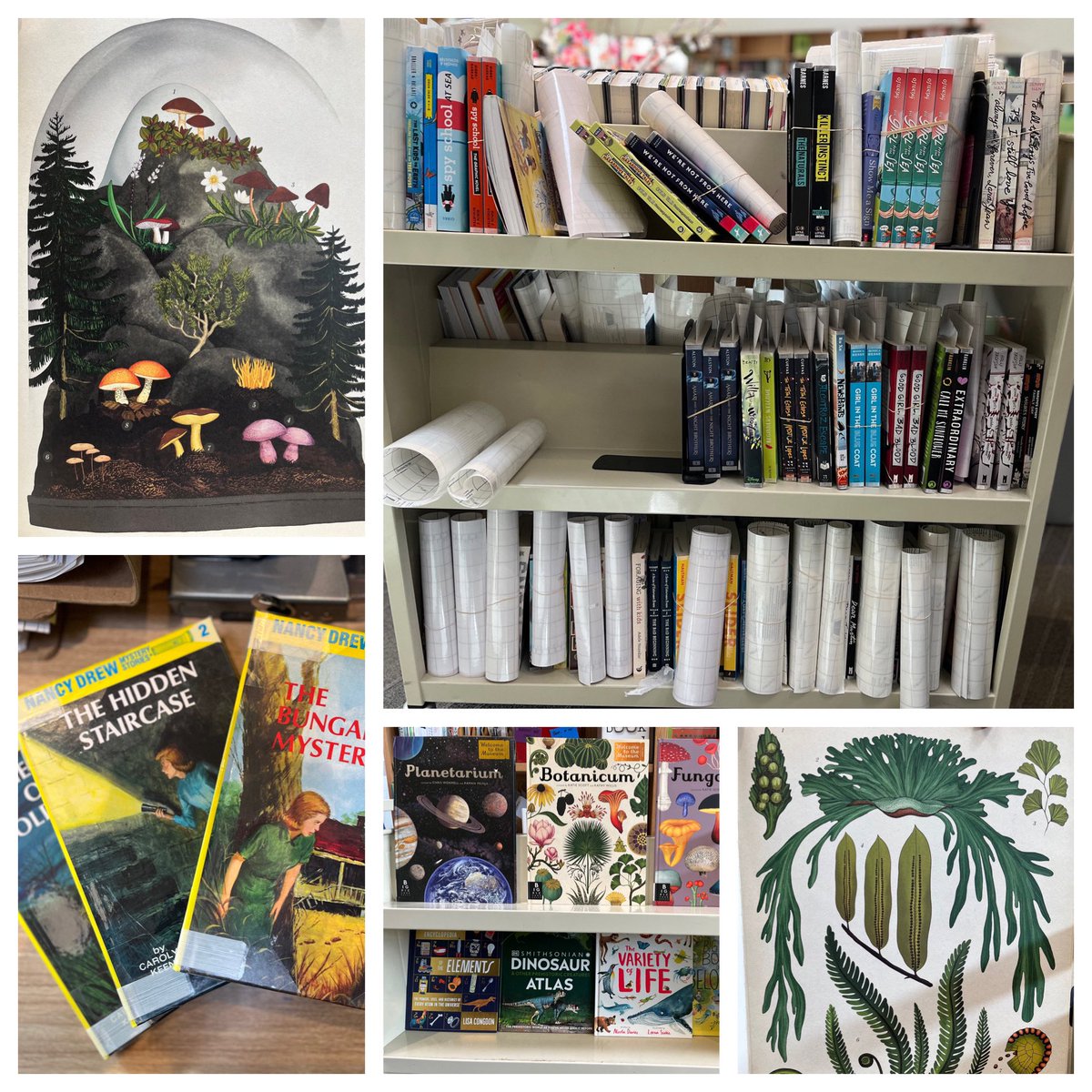 MsMintheLibrary's tweet photo. We took some book $$ to  a bookstore and look at our haul! We can’t wait to get these beauties on the shelf @LakeridgeMiddle @bnbuzz https://t.co/tU95fP69bf
