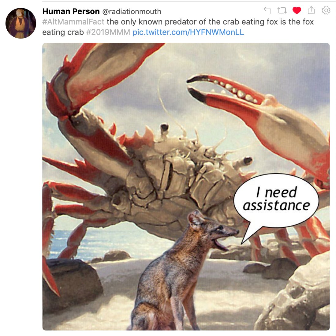 chanceofscience's tweet photo. https://t.co/wO8WrEs2Nq