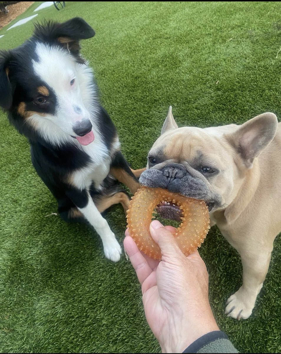 Audey ❤️❤️❤️