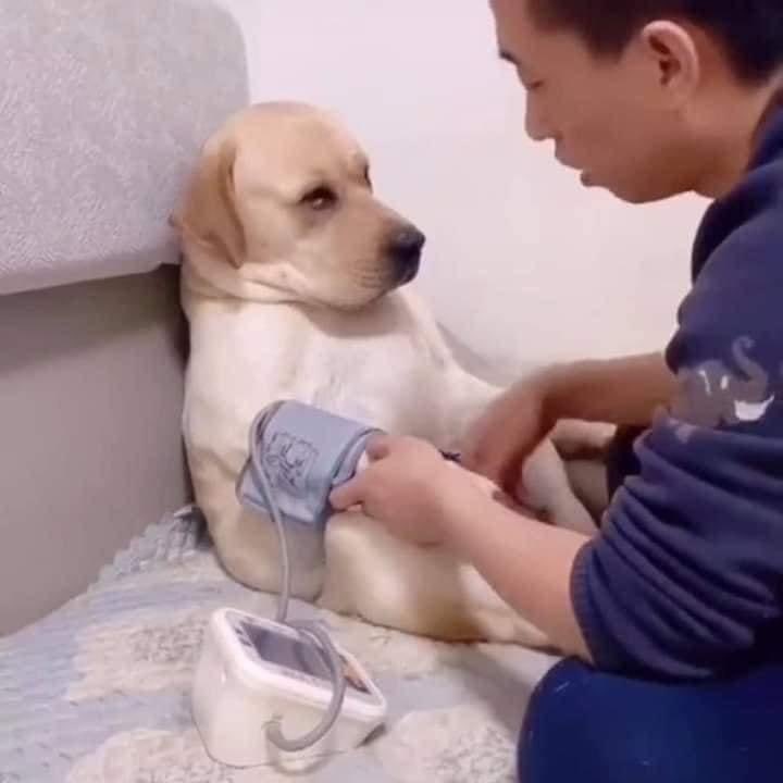 DiloConPerritos's tweet photo. Porfa tráigame una coquita doc, que se me anda bajando la presión… https://t.co/8xldT2sAWN