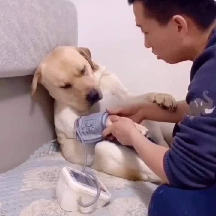 DiloConPerritos's tweet photo. Porfa tráigame una coquita doc, que se me anda bajando la presión… https://t.co/8xldT2sAWN