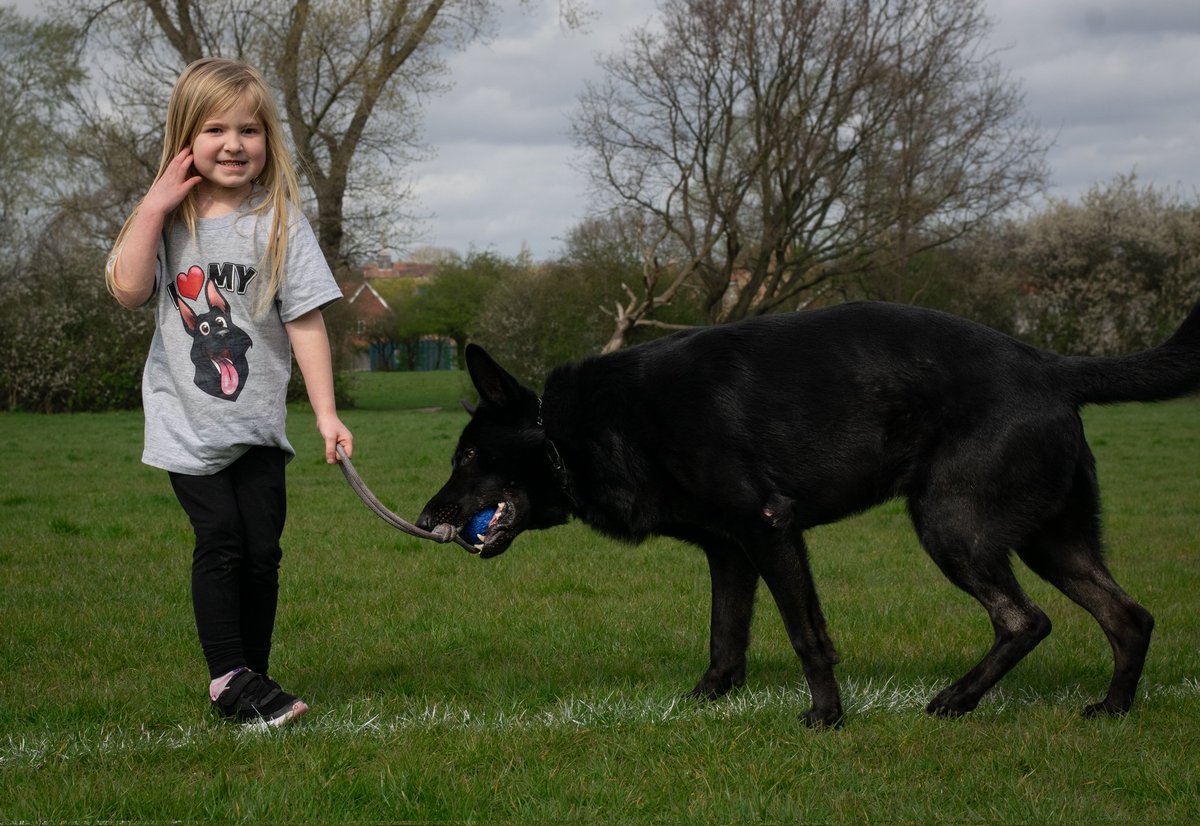 Fun with the little humans 
#bestfriends #DogTwitter