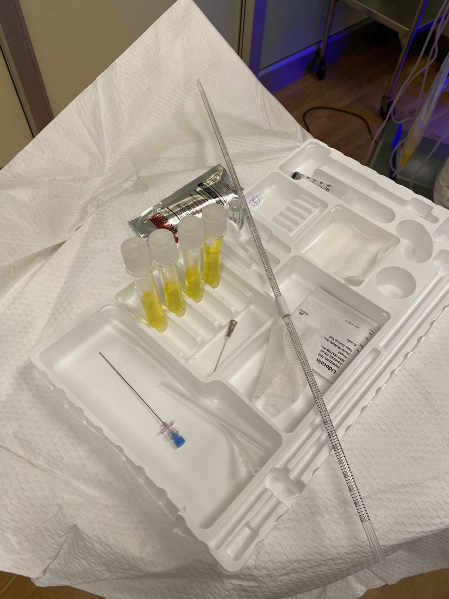 André Martin Mansoor tweet media