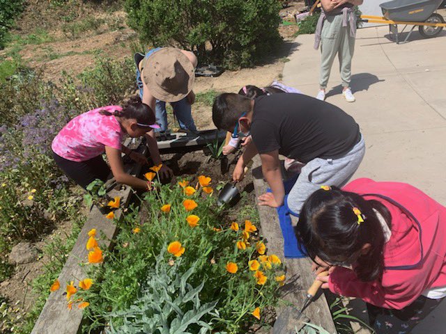 PODERSF's tweet photo. Glad to host today 2nd graders from Guadalupe Elementary School to learn about #ClimateJustice at #HummingbirdFarm. ¡Bienvenidos! #OurRootsAreStrong #HealthyRoots https://t.co/UzyYW3Djmc