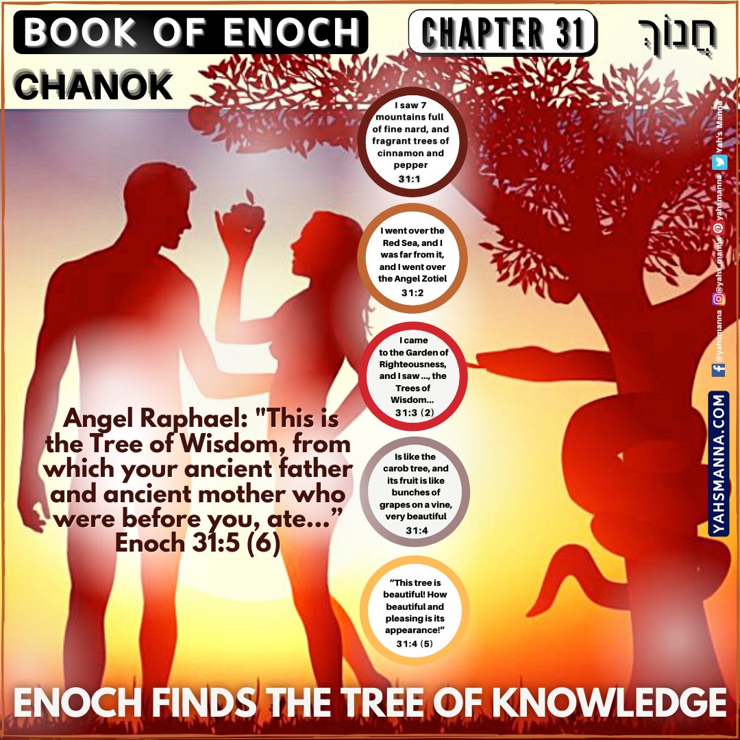 DeboraV90816003's tweet photo. ENOCH CHAPTER 31: THE PROPHET EXPLORES THE GARDEN OF RIGHTEOUSNESS AND FINDS THE TREE OF KNOWLEDGE- Read more at https://t.co/Az538lcQhn Tags: #AngelRaphael, #AngelZotiel, #BookofEnoch, #Enoch31, #gardenofEden, #TreeofKNOWLEDGE https://t.co/RvNicfTXOP