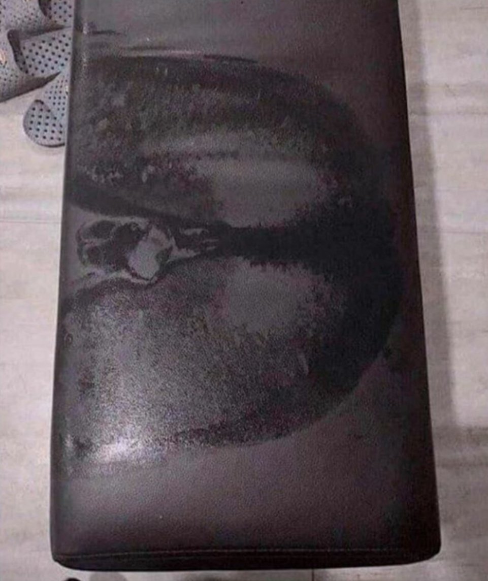 footmaster9221's tweet photo. Little mid-workout sweat from earlier. How many of you would love to lick that clean?
#findom #walletdrain #sweatslave https://t.co/sQ2KUBQSnv