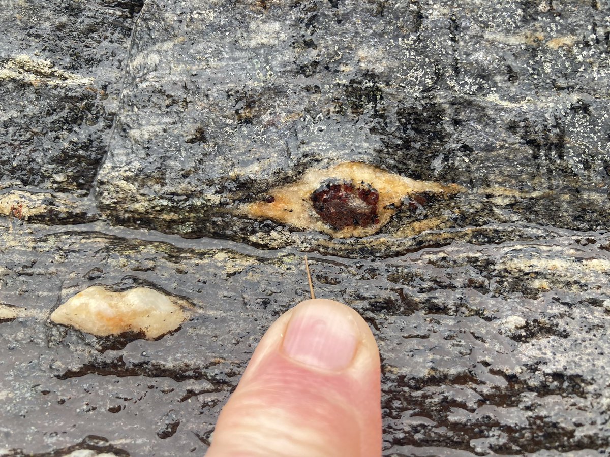 DurUniEarthSci's tweet photo. When our students are interrogating multi-phase deformation events recording complex overprinted tectonic events, it’s indicators of shear-sense that are often key to the story. The very small gives clues to the very large. 📸 Bob Holdsworth https://t.co/KyjsDppFwU