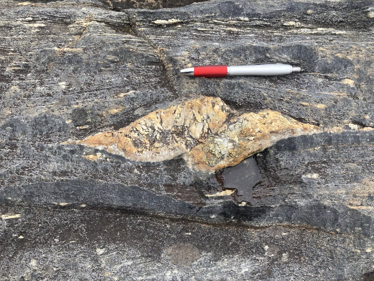DurUniEarthSci's tweet photo. When our students are interrogating multi-phase deformation events recording complex overprinted tectonic events, it’s indicators of shear-sense that are often key to the story. The very small gives clues to the very large. 📸 Bob Holdsworth https://t.co/KyjsDppFwU