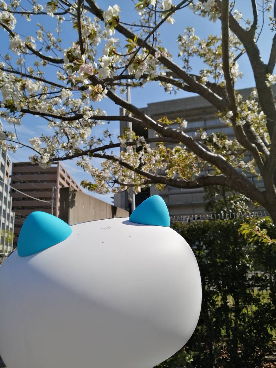 ナチュラル ロビ様 CZS ロビーチェア｜弘益