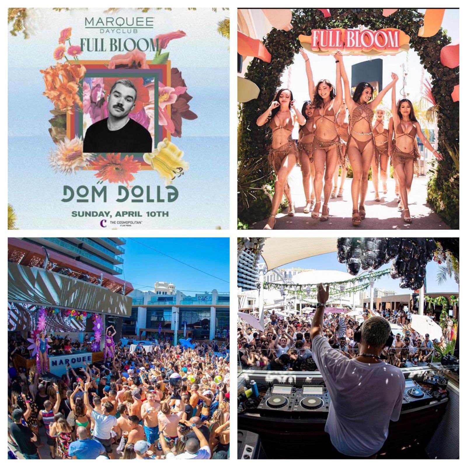 Drai's Beachclub  Las Vegas Dayclub Guide & FAQs [2023]