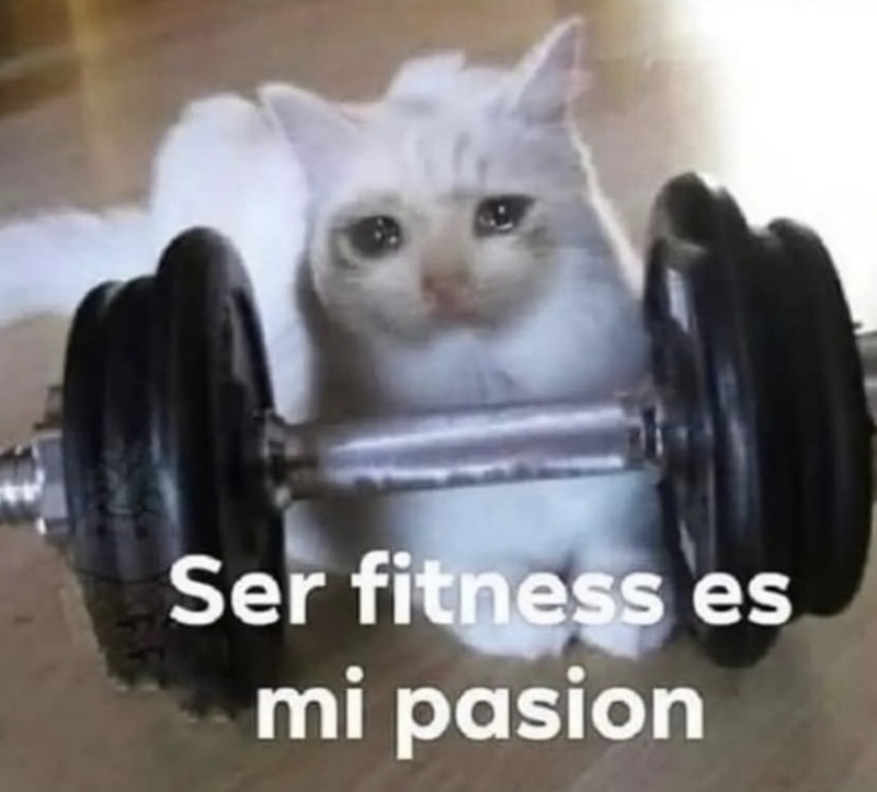 “Al llorar usamos 39 músculos”

Yo: