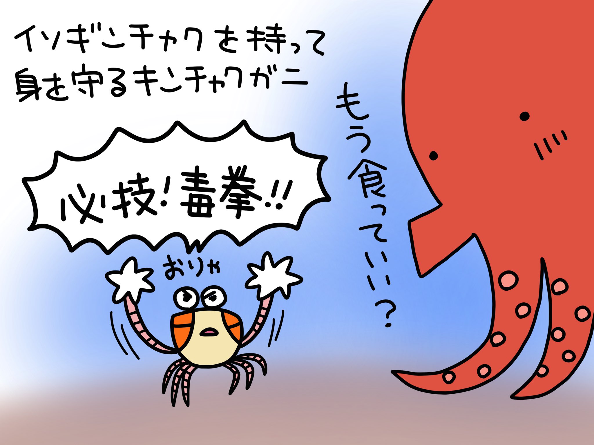 ふくちゃん 魚のイラスト ハサミでイソギンチャクを持って生活するダイバーに大人気のキンチャクガニ 防衛のためにイソギンチャクをフリフリする姿がとても可愛い 英名もポンポンクラブ ボクサークラブと可愛い 魚のイラスト イラスト 海の生き物
