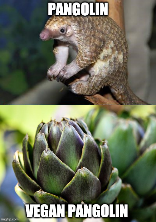 WSU Wildlife Ecology's March Mammal Madness! tweet media