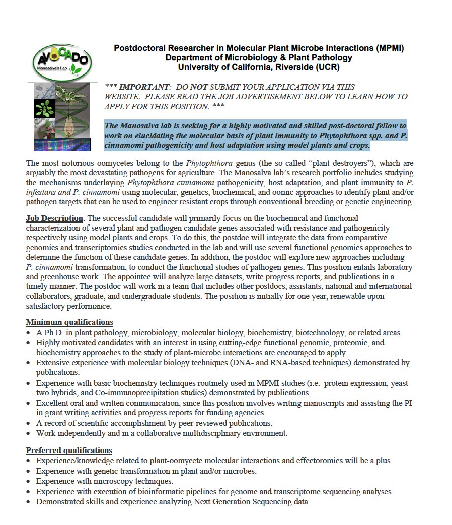 Patty Manosalva tweet media