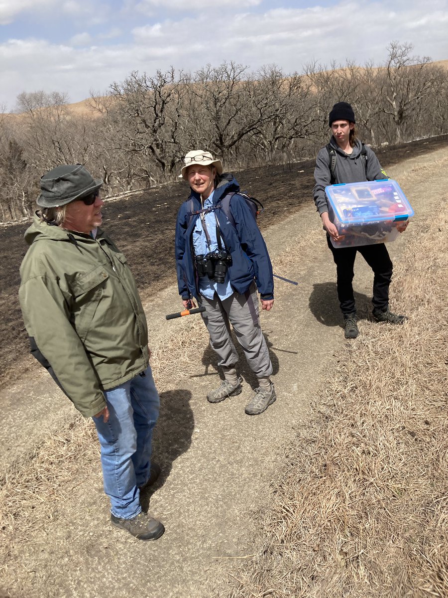 Colorado Macrofunga Project tweet media