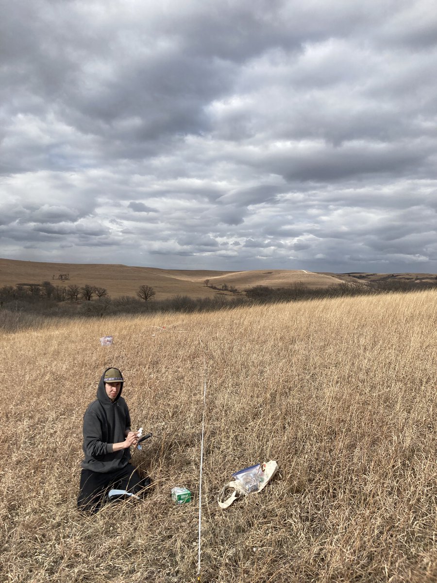 Colorado Macrofunga Project tweet media