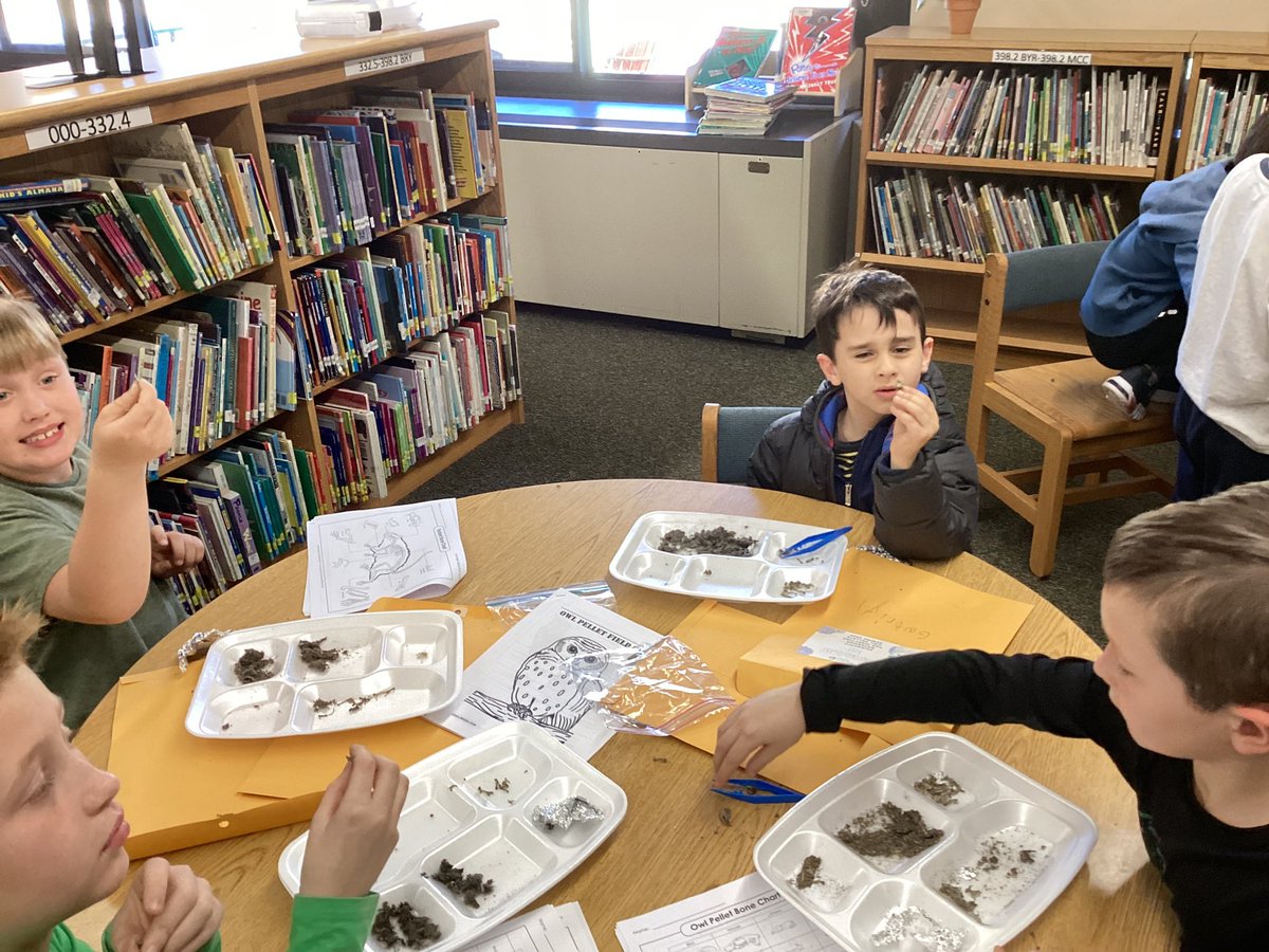 ElibraryPw's tweet photo. The best faces &amp; findings from Team S.T.E.A.M.’s owl pellet class owl🦉🦴 https://t.co/7wwtBqXMFI