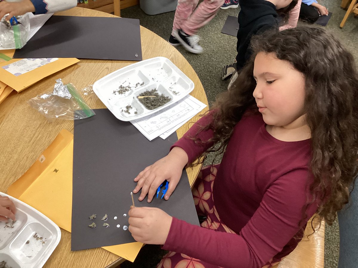 The best faces &amp; findings from Team S.T.E.A.M.’s owl pellet class owl🦉🦴