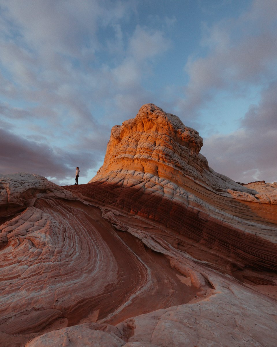 Joanne Hollings 💫 tweet media