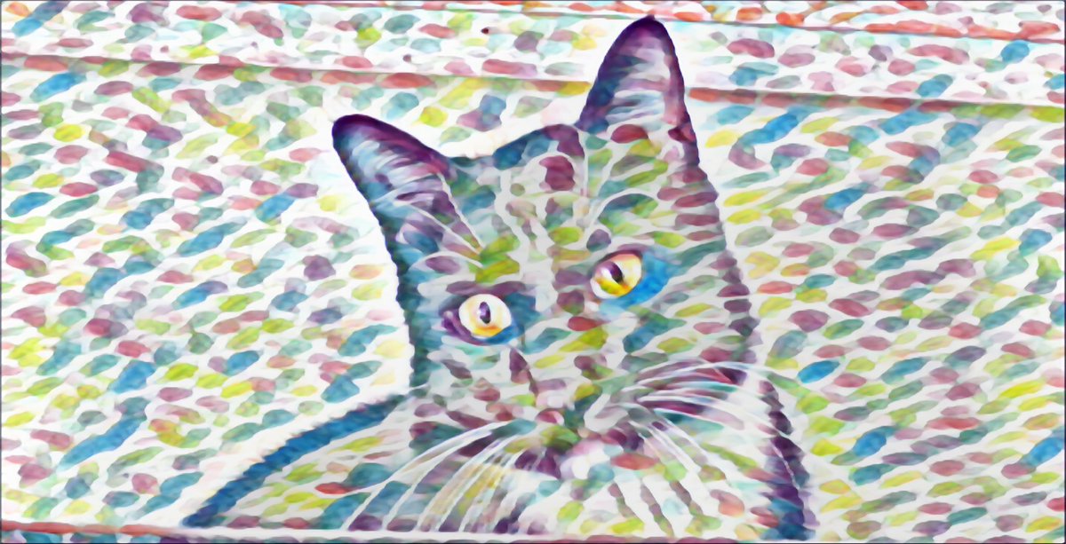 allcatsnoshame's tweet photo. The king of curiosity https://t.co/LvX5jZEEhG