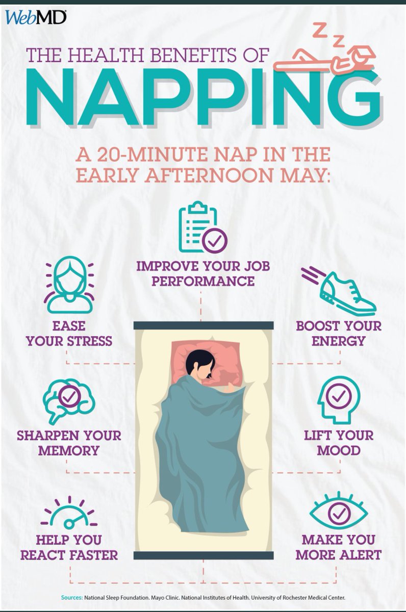 johanadhi's tweet photo. Manfaat Tidur Siang...(kalo sempat)😴 @blogdokter @prasadja https://t.co/andm2rkUHa