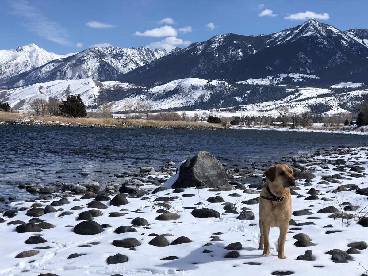 Kyle Risinger tweet media