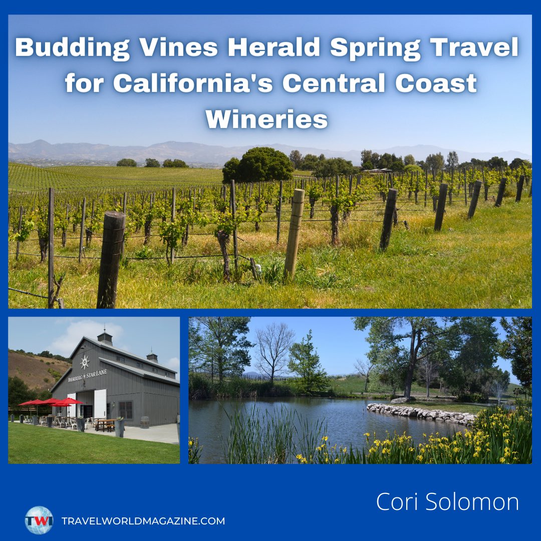 According to Cori, the spring season is a great opportunity to visit wineries along the Central Coast of California. Find out why at the link in bio! 🍷🤩 #NATJA #TWI #SpringIssue #SpringIntoTravel #TravelJournalism #NATJAMembers #travelmagazine #Vineyards #Winery #California