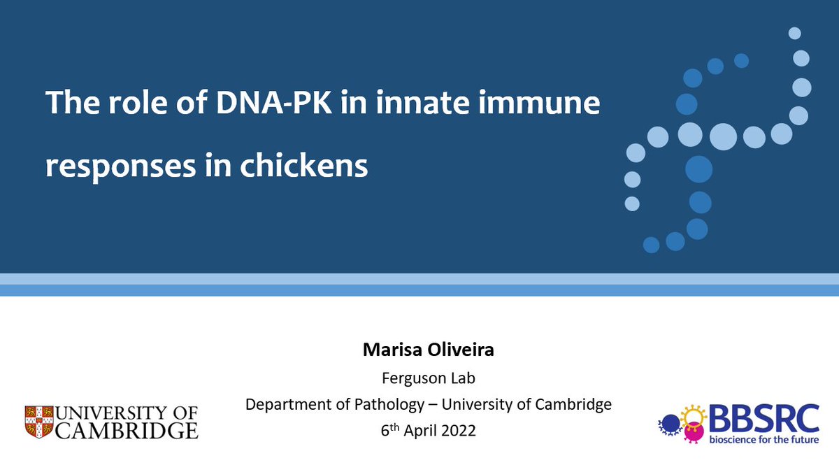 MS_Oliveir's tweet photo. Back to in-person conferences and in shades of blue! Thanks to #Microbio22 for the opportunity to present some of the work I have been doing as a postdoc @CamPathology - there's more to tell about innate immunity in chickens so stay tuned 🐔 https://t.co/13ciLsU02l