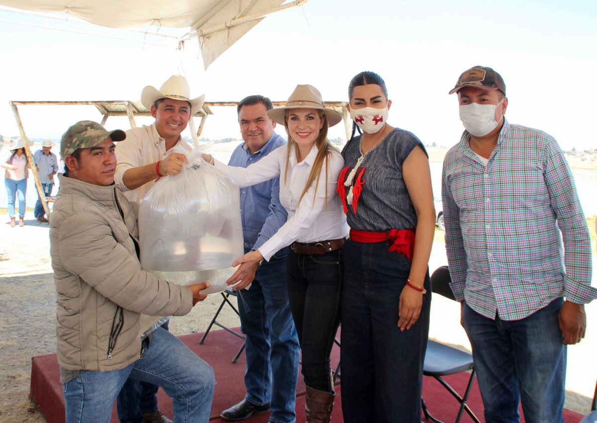 myriamcardenas's tweet photo. Sembramos alevines en la presa de #AlmoloyaDeJuárez para consumo y/o la reactivación económica. Agradezco el respaldo de la Mtra. @DiianaPerezB , titular del #CEDIPIEM; así como del Dir. @VICENTECH de la @CampoEdomex #DiputadaLocal #Distrito45 #MyriamCárdenas #YoSiRegresé https://t.co/MPrhA67k45
