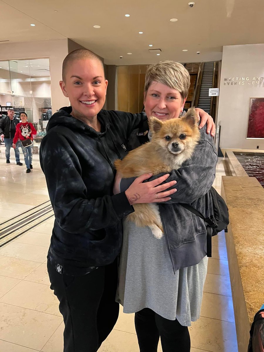 Pandapawsrescue's tweet photo. And a HUGE congratulations to Pearl and her new momma! She is officially a Michigan resident with two Cavalier King Charles spaniel siblings. She surely hit the Pomeranian jackpot because Pearl is literally the easiest, gentlest happy go lucky poof! #pandapawsrescue #adoption https://t.co/J2DBAjrpXo