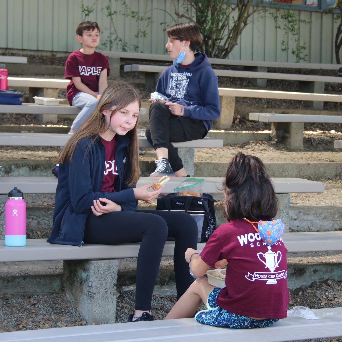 WoodlandPK8's tweet photo. After a long hiatus, our students enjoyed an in-person Buddy Lunch last week! #gooak #gopine #gocypress #gomaple #housesystem #buddylunch https://t.co/jF0vtqZCgs