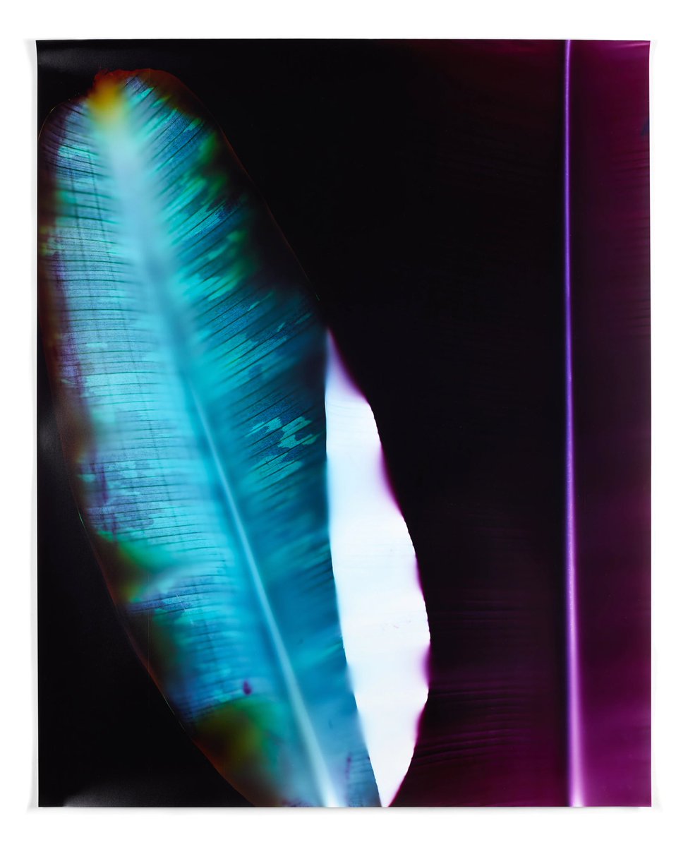 Thrilled to have acquired ‘Eclipse’ from <a href="/klea_mckenna/">Klea McKenna</a> ‘How Forests’s Think’ collection. Made with nature, reflecting nature. Read more about the technique of photogram making below 👇🏽 
And a bts video of her process in the comments (cc: <a href="/lifeofc/">Chikai</a> I know you love a bts!)