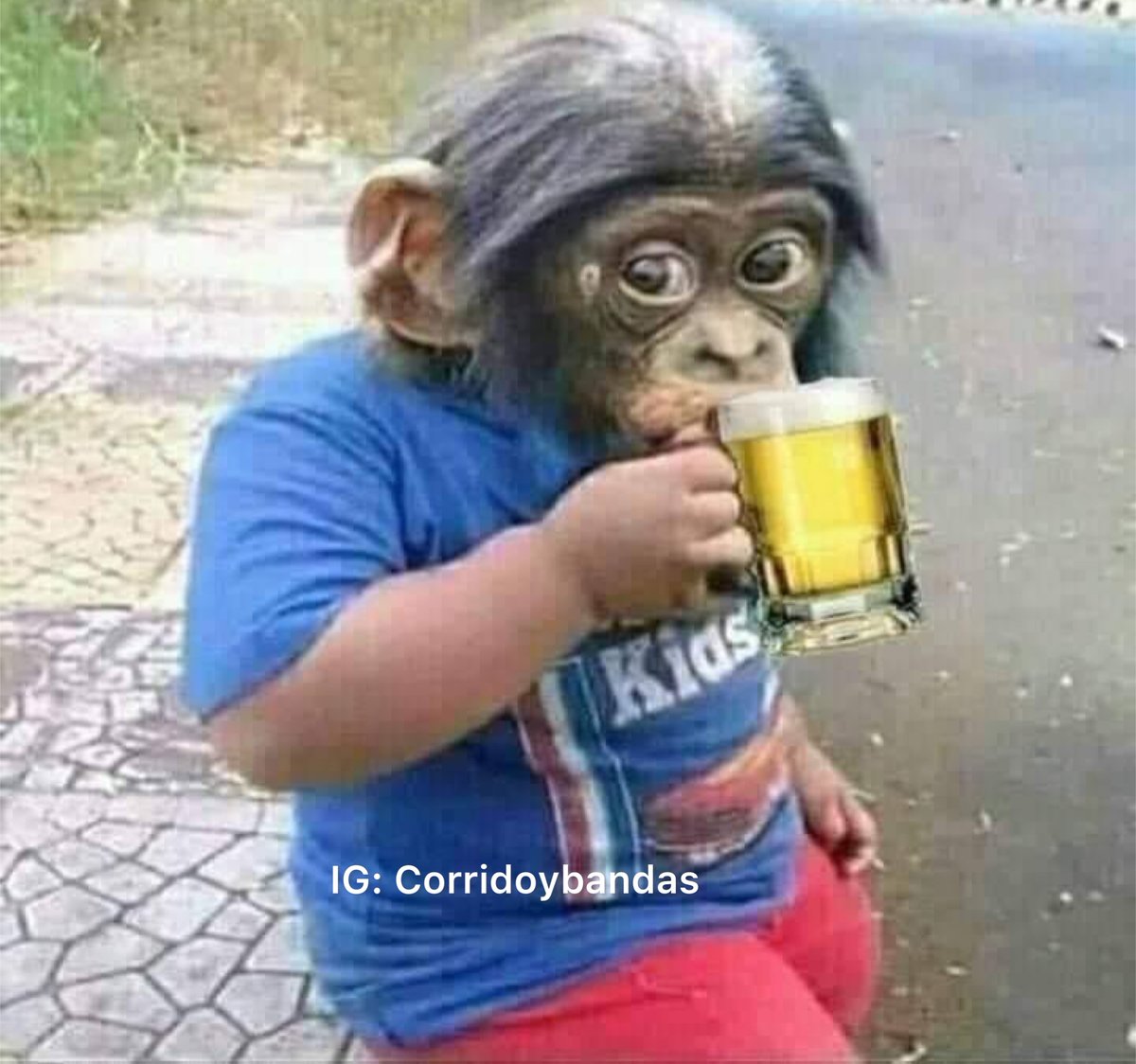 corridosybandas's tweet photo. -¿No te cansas de tomar cerveza?

-No, pues me la tomo sentado. https://t.co/tqEKmUx9gb