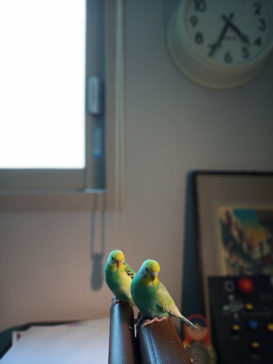 민초 (@shzzang2007) on Twitter photo 