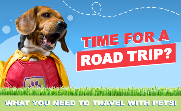 PetGuardiansAus's tweet photo. Best way to road trip with your pet! - https://t.co/lsxDJo0n49 https://t.co/PZO6kReBse