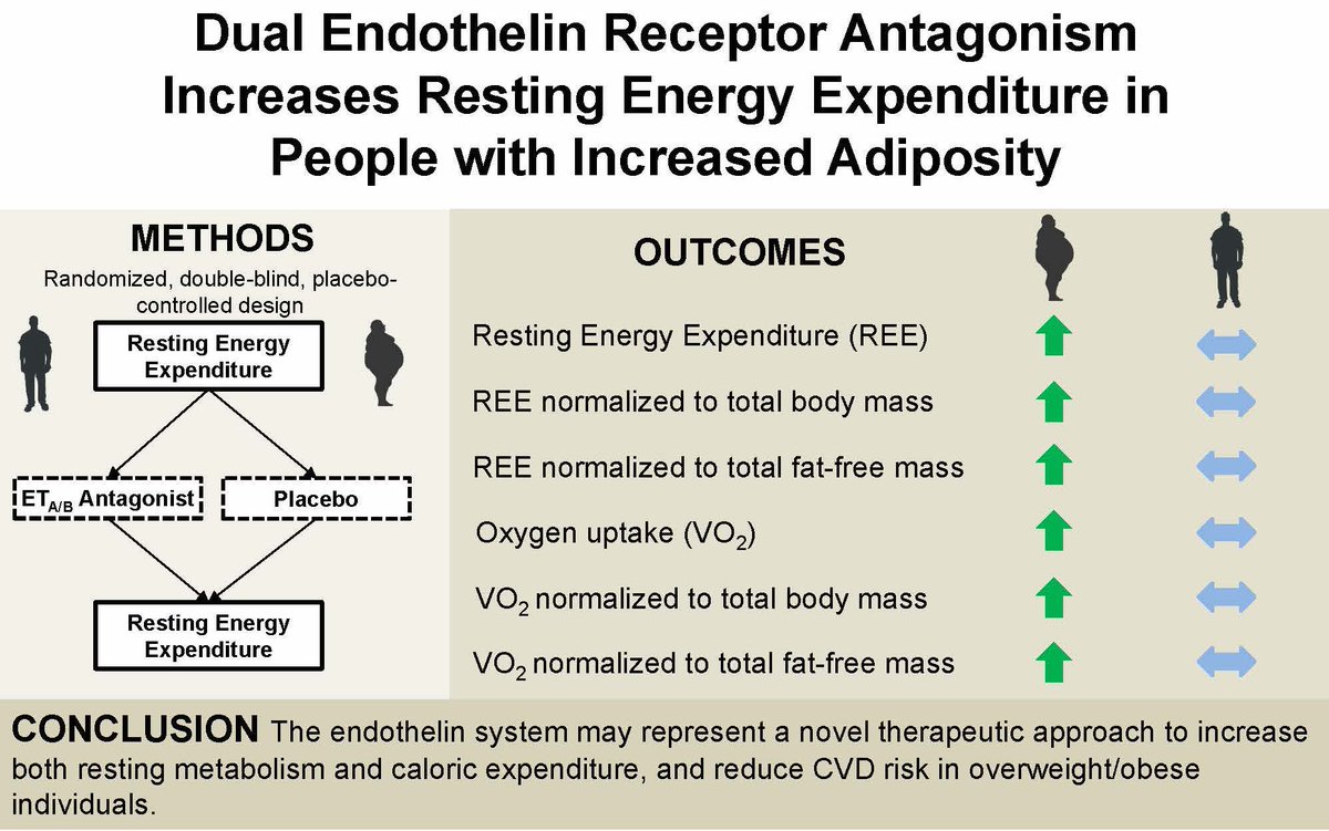 Dual Endothelin Receptor Antagonism Increases Resting Energy Expenditure in People with Increased Adiposity; new #ResearchArticle in press: ow.ly/ZHIP50ICux5 #endothelin #obesity #energyexpenditure