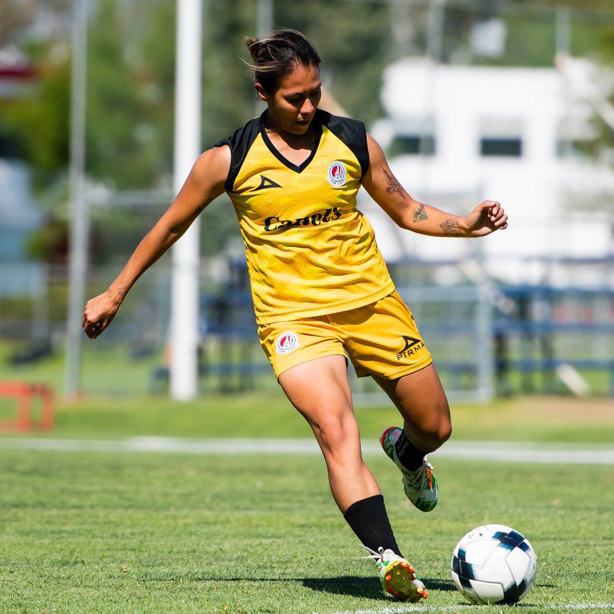 AtletiDeSLPFem's tweet photo. ☀️ ¡𝑀𝑖𝑡𝑎𝑑 𝑑𝑒 𝑠𝑒𝑚𝑎𝑛𝑎 𝑒𝑛 𝐿𝑎 𝑃𝑟𝑒𝑠𝑎! 

#𝗔𝗗𝗦𝗟PUE 
#SomoSanLu12 https://t.co/ORxDfA2gB8